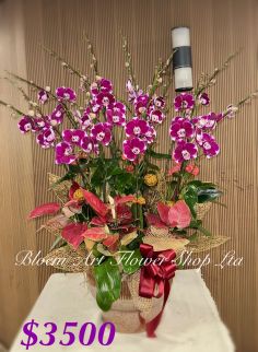 Table arrangement - Premium CODE 63796